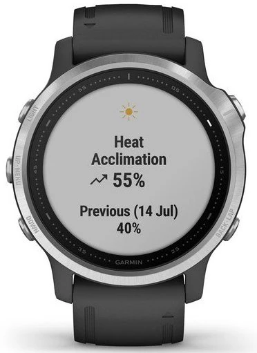 Garmin Watch Fenix 6S Silver With Black Band - Image 3
